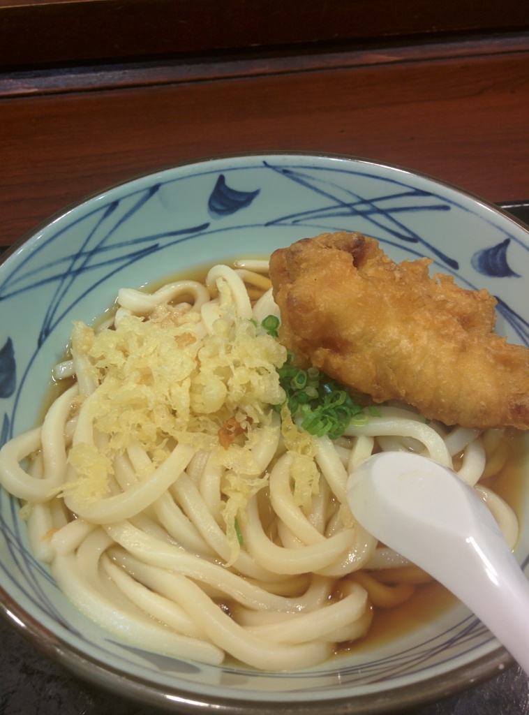 Kake Udon -- Our traditional broth with a light fish and seaweed taste.